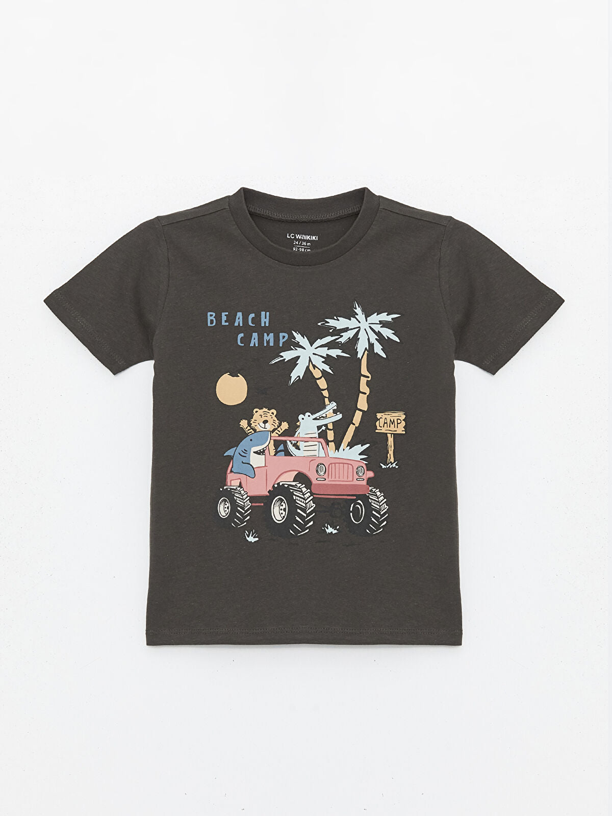 9-12 Ay
