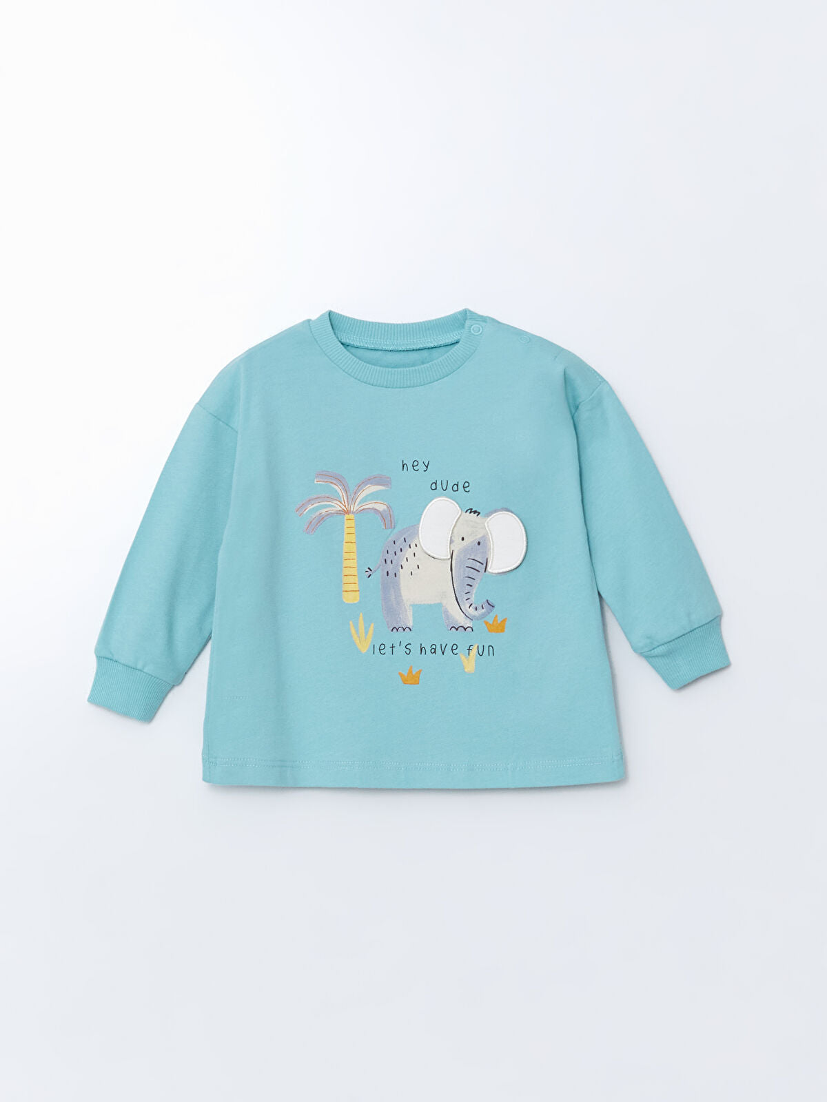 1-3 Ay